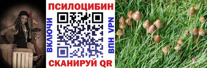 Купить закладки  Кулебаки  Псилоцибиновые грибы Psilocybine cubensis 